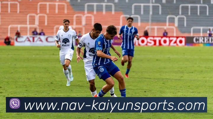 开云体育平台生态图